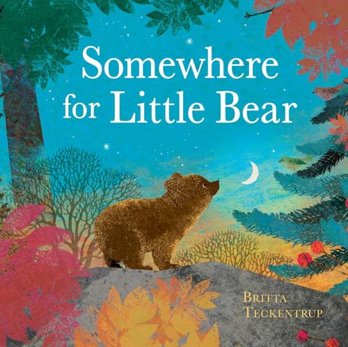 cover image Somewhere for Little Bear